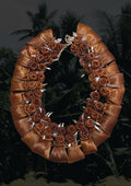 Vau Salusalu (Light Brown)